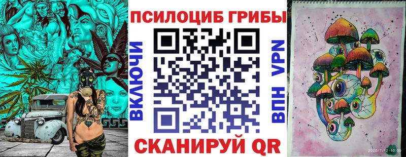 Галлюциногенные грибы MAGIC MUSHROOMS как найти Сургут